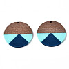 Resin & Walnut Wood Pendants RESI-S389-070A-A03-2