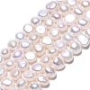 Natural Cultured Freshwater Pearl Beads Strands PEAR-N014-03D-01-1