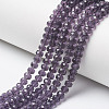 Glass Beads Strands LS-EGLA-A034-T10mm-D15-1