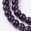 Natural Amethyst Beads Strands G-S030-7