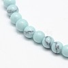 Synthetic Turquoise Smooth Round Beads Strands G-L146-8mm-01-1