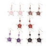 Natural Gemstone Dangle Earrings EJEW-JE04019-1