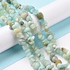 Natural Flower Amazonite Chips Beads Strands G-M205-12B-4