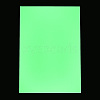 Luminous Photo Paper AJEW-N001-12-5