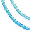 Transparent Glass Beads Strands GLAA-N041-009-01-4