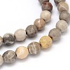 Natural Fossil Coral Round Bead Strands G-O094-08-6mm-2