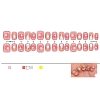 Plastic Nail Art Stickers PW-WG5E749-01-5