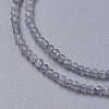 Natural Labradorite Beads Strands G-F596-43-2mm-3