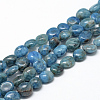 Natural Apatite Beads Strands X-G-R445-8x10-24-1