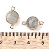 Natural Labradorite Connector Charms G-C102-09E-G-3