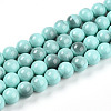 Baking Paint Glass Beads Strands DGLA-N013-10mm-04-1