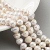 Natural Cultured Freshwater Pearl Beads Strands PEAR-C003-15A-2