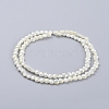 Electroplate Glass Beads Strands EGLA-J149-C-6mm-FR02-2