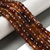 Natural Red Agate Beads Strands G-NH0017-A02-01-2