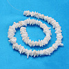 Natural Sea Shell Chips Beads Strands BSHE-Q024-02-2