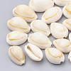 Cowrie Shell Beads SSHEL-T004-07-1