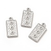 Non-Tarnish 304 Stainless Steel Pendants STAS-H172-10P-2