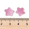 Imitation Candy Food Style Resin Cabochons RESI-R461-02G-3