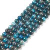Natural Apatite Beads LS-G-E481-05-8mm-01-1