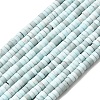 Dyed Synthetic Turquoise Beads Strands G-Z089-A04-C-3