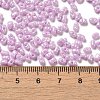 Glass Seed Beads SEED-K009-02A-06-4