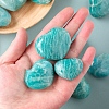 Natural Amazonite Heart Palm Stones PW-WG21258-02-2