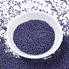 MIYUKI Delica Beads X-SEED-J020-DB0377-2