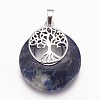 Natural Sodalite Pendants G-F573-C14-2