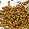 MIYUKI Round Rocailles Beads X-SEED-G008-RR4460-1