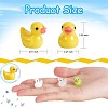 80 Pcs Tiny Ducks Mini Resin Duck Colorful Mini Duck Bulk Fairy Tale Garden Animal Sculpture Resin Duck Image for Miniature Landscape JX344A-2