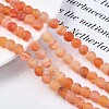 Natural Weathered Agate Beads Strands G-S259-05H-8mm-4