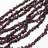 Chips Natural Garnet Beads Strands G-N0164-47-1