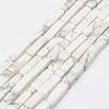 Natural Howlite Beads Strands G-E342-15-1