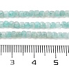 Natural Amazonite Beads Strands G-H042-B16-01-5