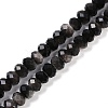 Natural Silver Obsidian Beads Strands G-B125-J02-01-1