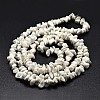 Chip Natural Howlite Beads Strands LS-G-N0134-11-3