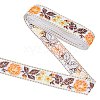 Ethnic Style Polyester Ribbons OCOR-WH0077-34D-1