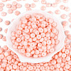 Opaque Baking Paint Glass Seed Beads SEED-N008-03A-01-2