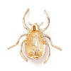 Beetle Enamel Pin JEWB-P012-10G-4