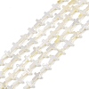 Natural Freshwater Shell Beads Strands BSHE-G036-05A-1