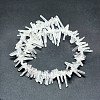 Natural Quartz Crystal Beads Strands G-P368-11-2