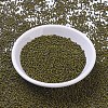 MIYUKI Round Rocailles Beads SEED-JP0008-RR4519-2
