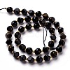 Natural Golden Sheen Obsidian Beads Strands G-M367-02B-2