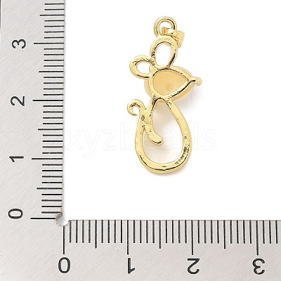Rack Plating Brass Pendants KK-K293-24F-G-1