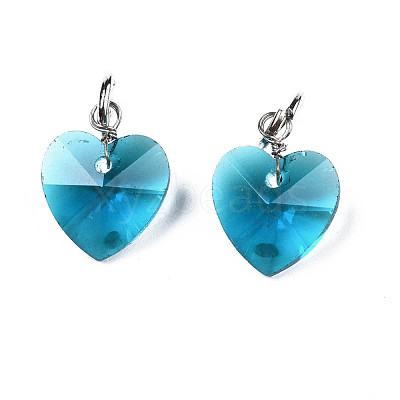 Faceted Transparent Glass Charms GLAA-T024-04D-1
