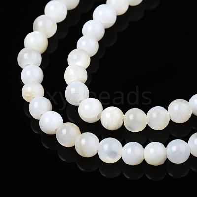 Natural Freshwater Shell Beads Strands BSHE-T009A-01A-1