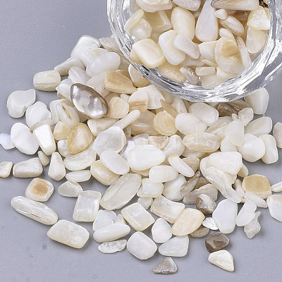Freshwater Shell Beads SHEL-S266-11-1