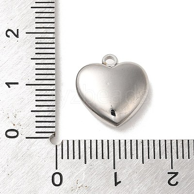 304 Stainless Steel Charms STAS-L022-239P-1