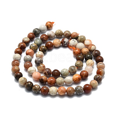Natural Fossil Coral Beads Strands G-E576-03A-1