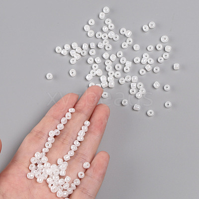 6/0 Glass Seed Beads X1-SEED-A011-4mm-141-1